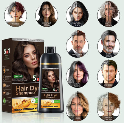 Head & Healthy Black Hair Dye Shampoo 5 in 1 Instant Hair Dye Herbal Ingredients 500ml 16.9 fl oz for Gray Hair Unisex Formula