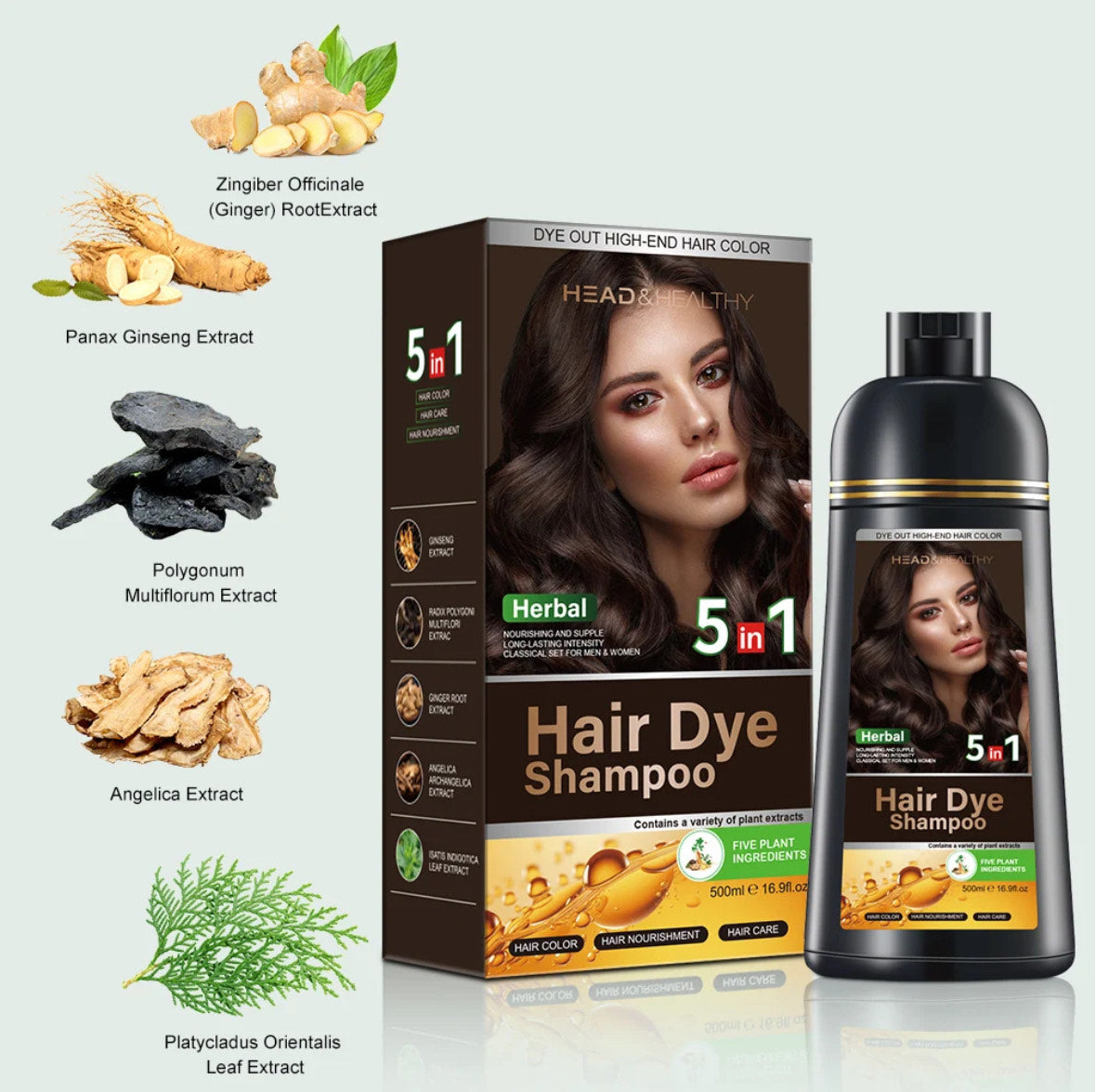 Head & Healthy 5-in-1 Herbal Hair Dye Shampoo – Natural Black Hair Color, Long-Lasting Grey Coverage, Nourishing & Sulfate-Free Formula (500ml)