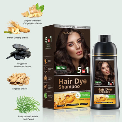 Head & Healthy Black Hair Dye Shampoo 5 in 1 Instant Hair Dye Herbal Ingredients 500ml 16.9 fl oz for Gray Hair Unisex Formula